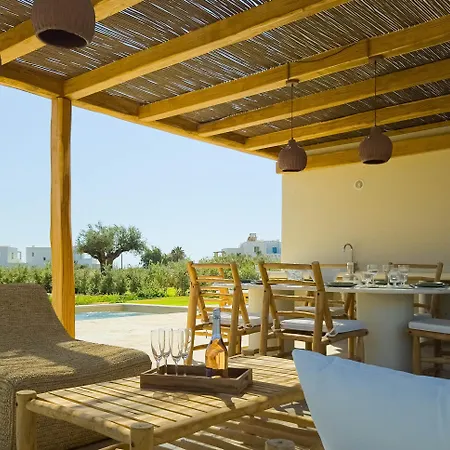 Nour, Modern High-ceiling Retreat With Pool In Plaka Naxos فيلة *