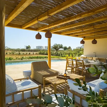 Nour, Modern High-ceiling Retreat With Pool In Plaka Naxos Villa *