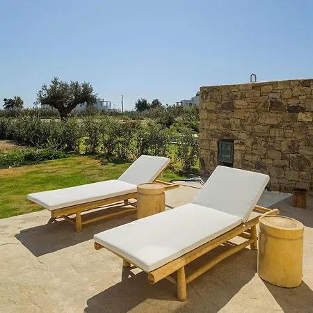 Nour, Modern High-ceiling Retreat With Pool In Plaka Naxos * Naxos City