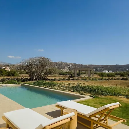 Villa Nour, Modern High-ceiling Retreat With Pool In Plaka Naxos *